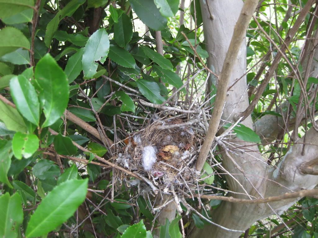 Review Eco Touch All Purpose Cleaner Detailing World Forum